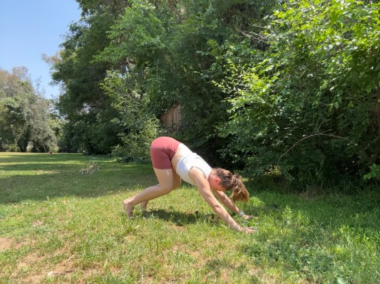 Personal trainer demonstrating bear to plank shooter exercise. 