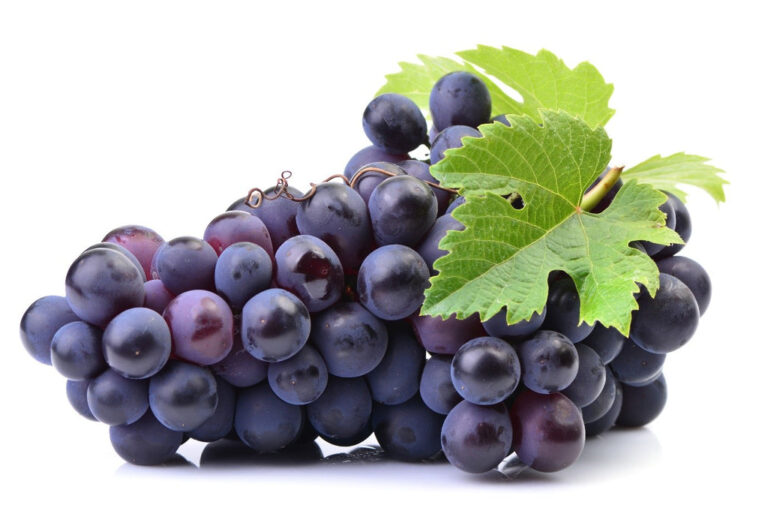 Anthocyanin Supplement and its positive effects on the body