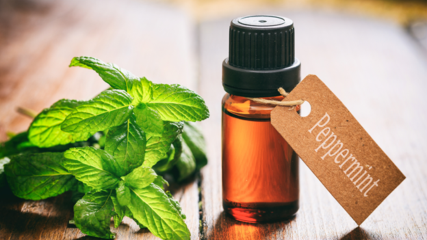 PEPPERMINT OIL FOR FEVERS