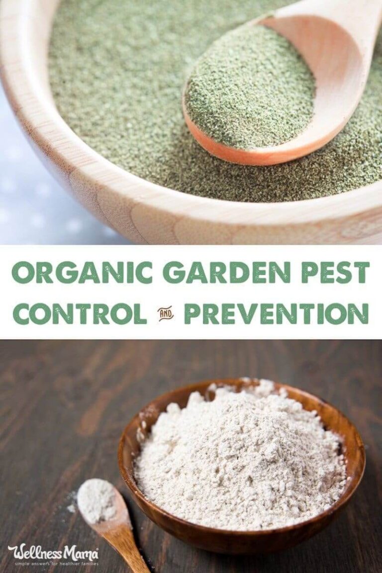 Organic Pest Control for Gardens (Natural Options)