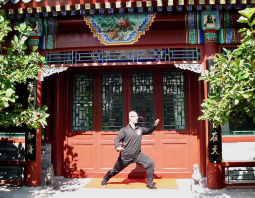 Tai chi instructor demonstrating parting the wild horse's mane move