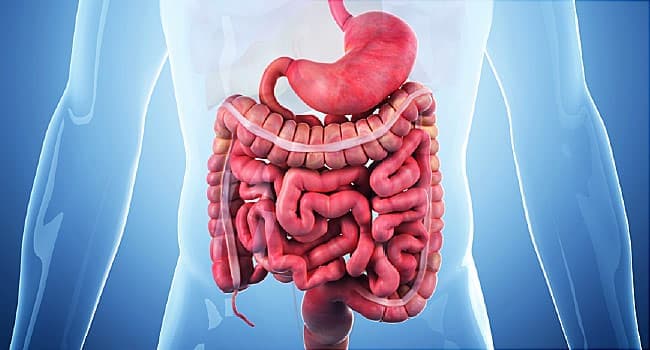 Prospects for Crohn's Relief Brighten With New Advancements