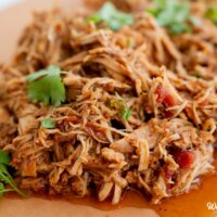 Easy Crockpot Salsa Chicken