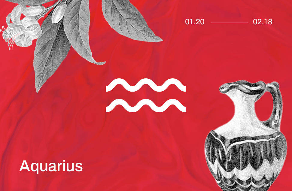 aquarius astrology symbol on a red background with images of flower leaves and an urn