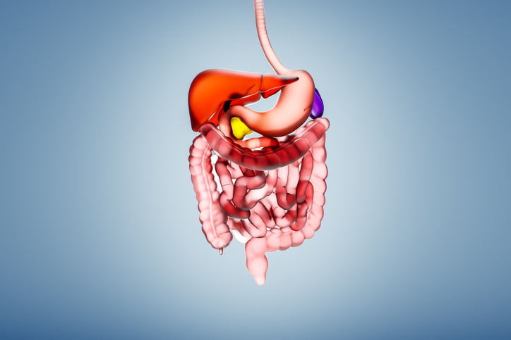 MIT Spinout Syntis Bio Secures $33M for a Novel Approach to Treating Obesity and More
