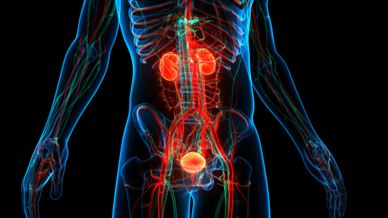 Maze Therapeutics Drug Shows Potential to Top Asset Acquired by Otsuka for $800M