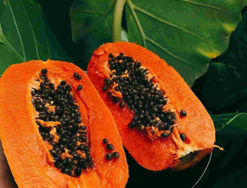 Papaya & Papaya Leaves 