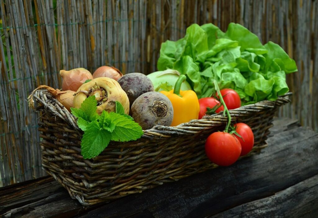 vegetables, basket, vegetable basket, harvest, nature, produce, organic, fresh, fresh produce, fresh vegetables, assorted, food, garden, salad, healthy-752153.jpg