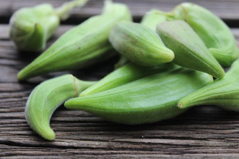 Discover the Health Benefits of Okra Water: What Happens to Your Body When You Drink Okra Water Every Morning