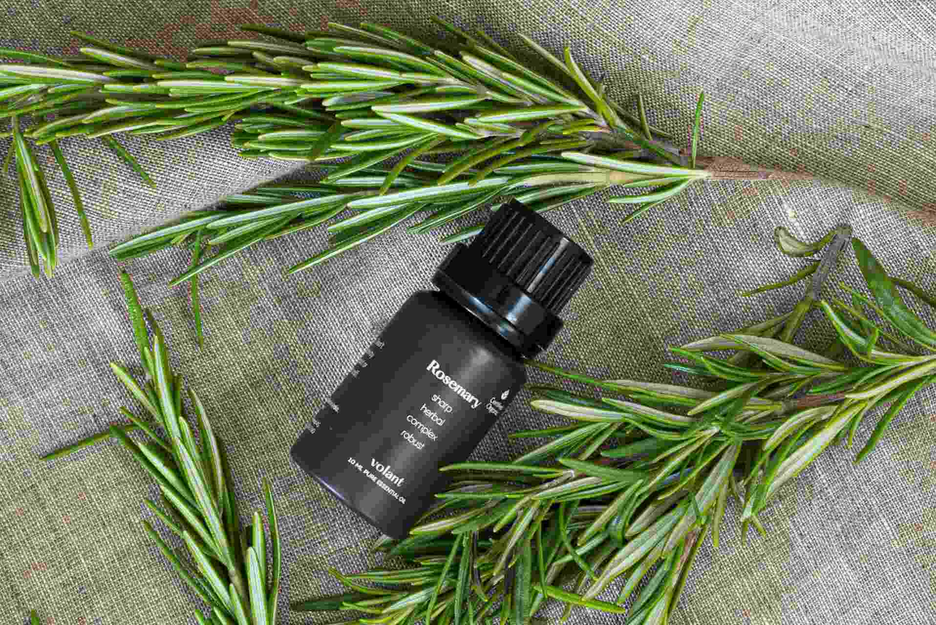 Rosemary Oil 