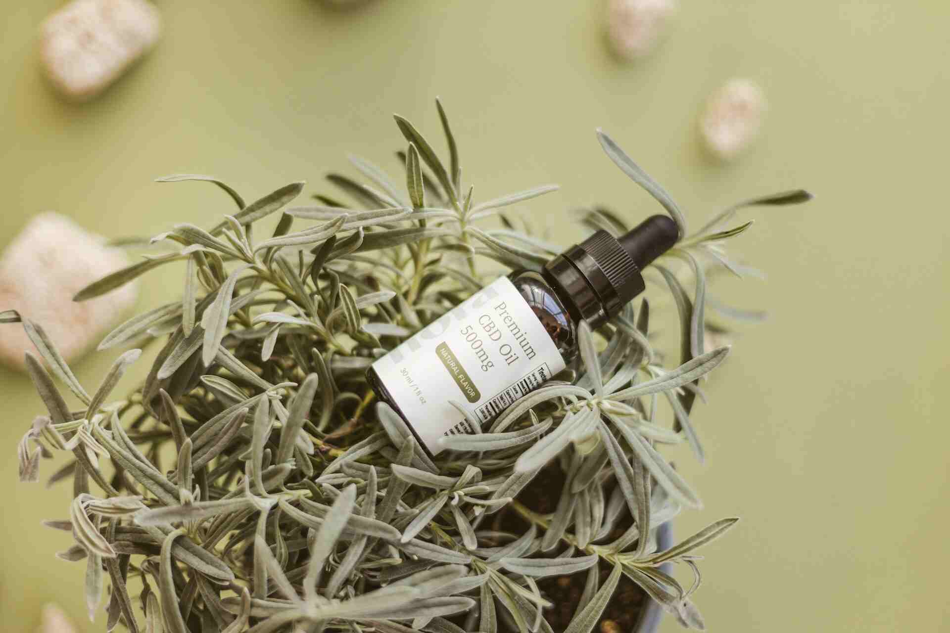 Tea Tree Oil - Essential Oils