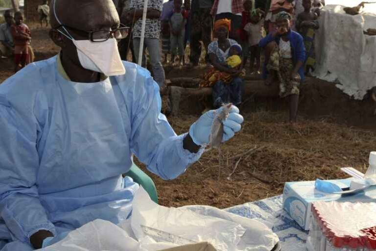 Lassa fever: Symptoms, Diagnosis, Treatment, and Prevention