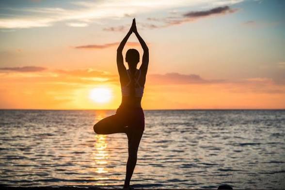 Kenko Blue Wellness: A Smarter Approach to Modern Health and Longevity
