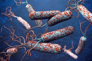 Why Cholera Causes Dry Mouth: What It Means for Your Oral Health and How Dentists Can Help