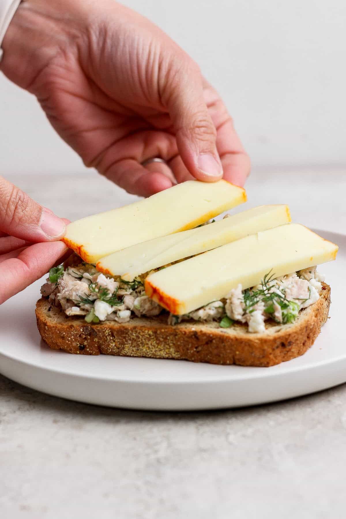 placing muenster cheese slices on tuna melt
