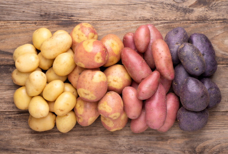 Can You Eat Potatoes on Paleo? The Honest Answer