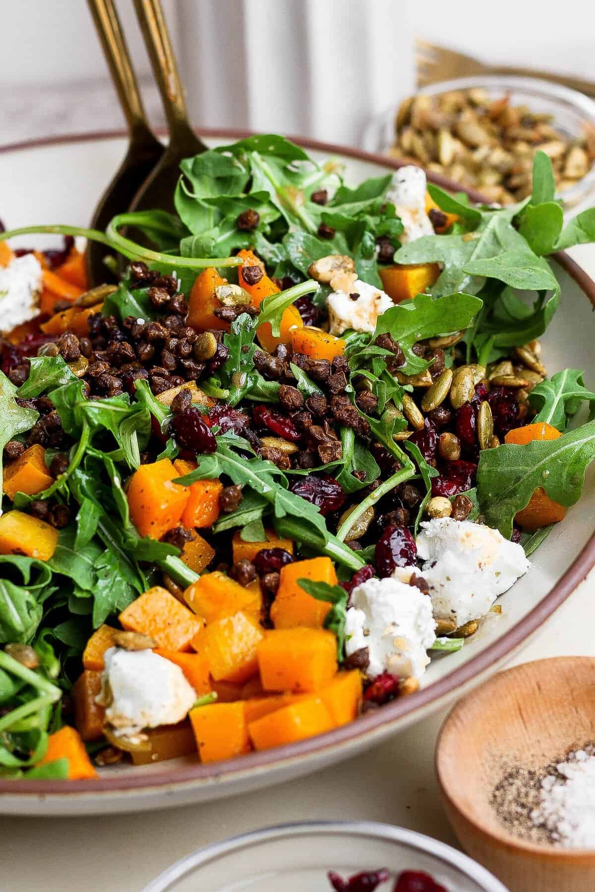 Plated crispy lentil salad with roasted butternut squash, arugula, goat cheese, cranberries, and pepitas.